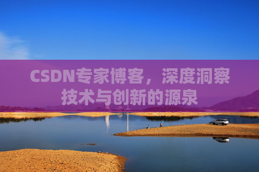 CSDN专家博客，深度洞察技术与创新的源泉